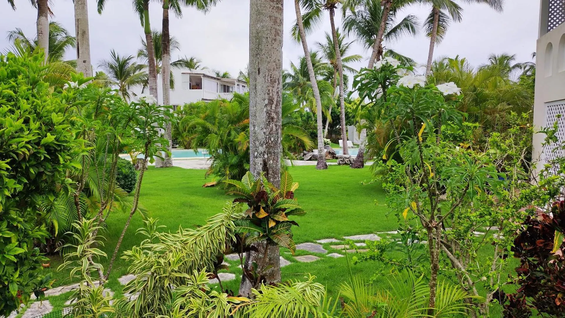 Caribe Home Dominicus Ginepro 3 La Laguna