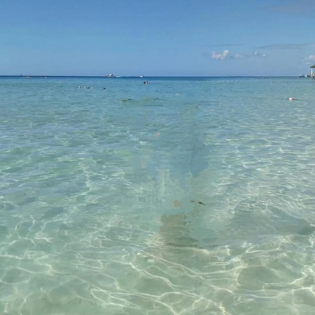 Caribe Home Dominicus Ginepro 3 La Laguna