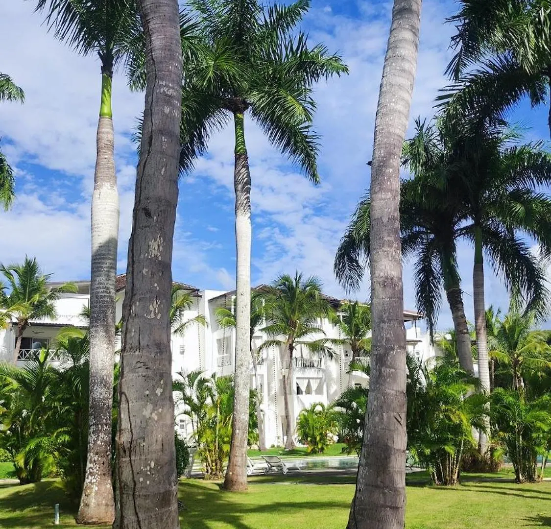 Caribe Home Dominicus Ginepro 3 La Laguna