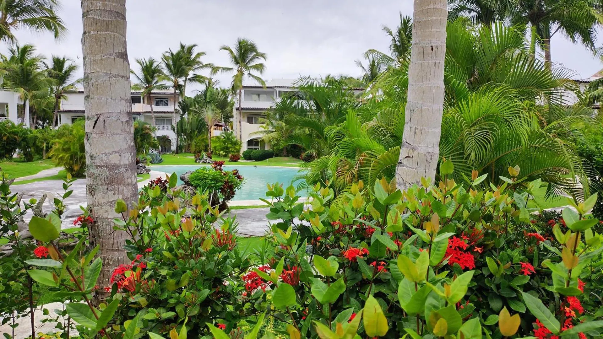 Lejlighed Caribe Home Dominicus Ginepro 3 La Laguna Den Dominikanske Republik