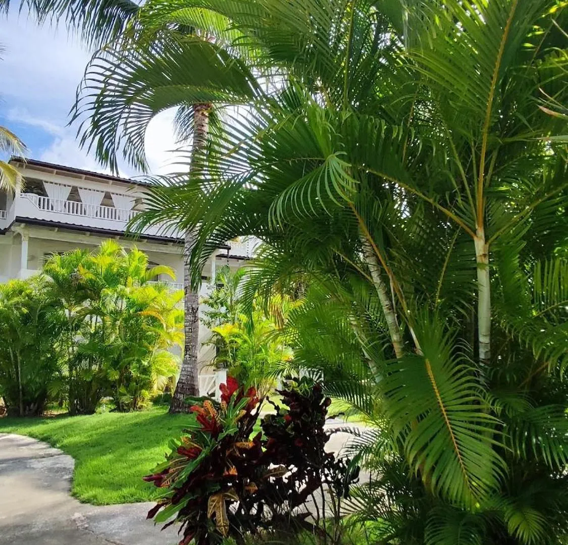 Caribe Home Dominicus Ginepro 3 La Laguna Apartment